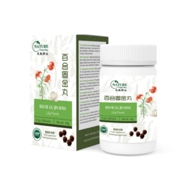 Bai He Gu Jin Wan - Lily Form - 百合固金丸