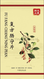 Fu Fang Chang Ning Pian - Intestine Form - 复方肠宁片