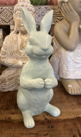 Beeld Haas mint Groen