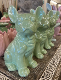 Franse Bulldog Groen