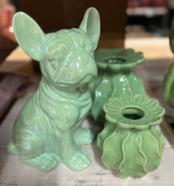 Franse Bulldog Groen