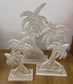 Palmboom Hout White Wash Wit XL