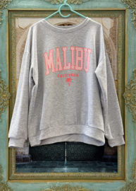 Trui Malibu Licht Grijs
