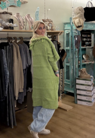 Vest Franjer Appeltjes Groen