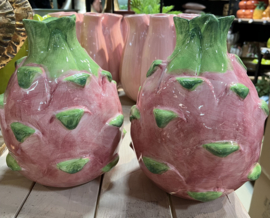 Vaas Pitaya XL Roze
