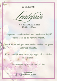 Lentefair DV 24 mei in Ede
