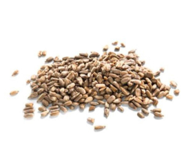 Zonnebloempitten 250 gram