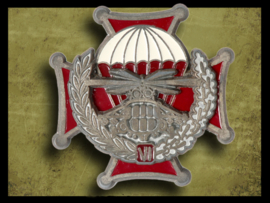 Russian Parachutist Emblem