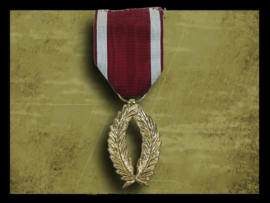 Honorary medal in the Crown Order Belgium