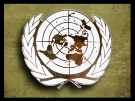 U.N./V.N. Beret emblem