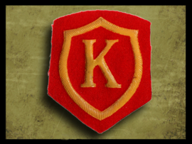 U.S. Sleeve Emblem