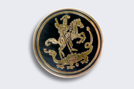 Regiment Pin België