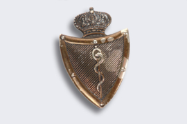 Belgian Forces Medical Services Officer Pin