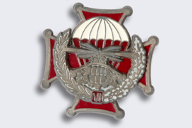 Emblème du parachutiste russe