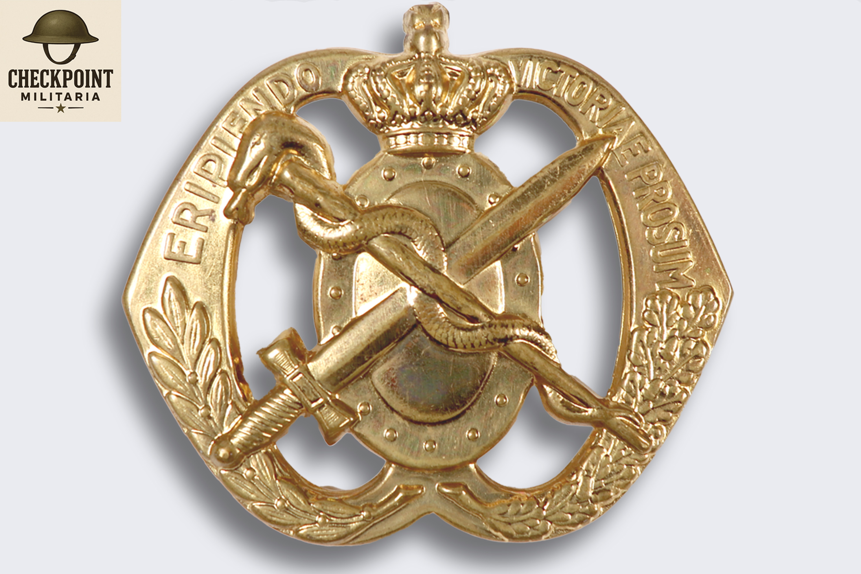 Regiment Geneeskundige Troepen
