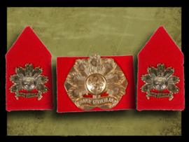 Regiment Infanterie Oranje Gelderland