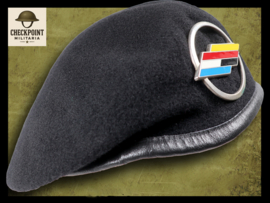 Brigade Franco-Allemande