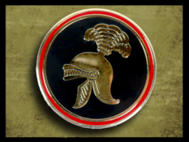 Regiment Pin België