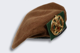 Regiment Geneeskundige Troepen