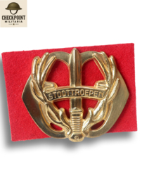 Dutch Storm Troops Regiment Prince Bernhard