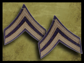 U.S. Sleeve Ranks