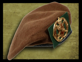 Regiment Geneeskundige Troepen