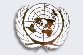 U.N./V.N. Baret Embleem