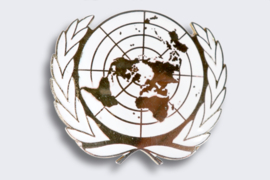 U.N./V.N. Beret Emblem