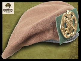 Dutch Medical Troops Regiment