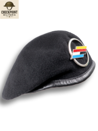 Brigade Franco-Allemande