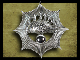 Dutch National Police Cap Emblem