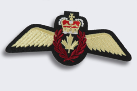 Canadian Air Force Pilots Wing