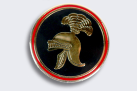 Regiment Pin Belgium