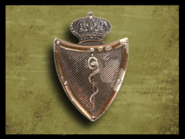 Belgian Forces Medical Services Officer Pin