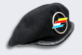 Brigade Franco-Allemande