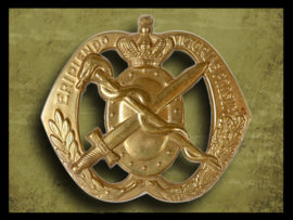 Regiment Geneeskundige Troepen