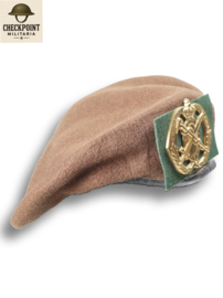 Dutch Medical Troops Regiment