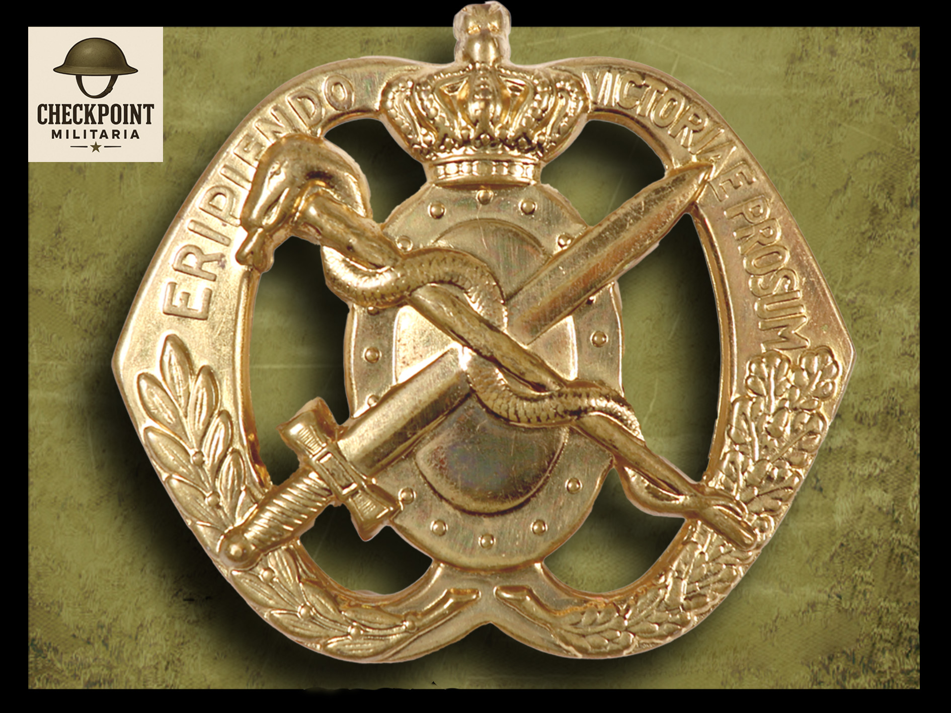 Regiment Geneeskundige Troepen