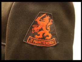 Regiment Geneeskundige Troepen