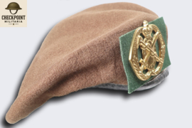 Dutch Medical Troops Regiment