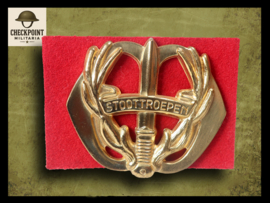 Dutch Storm Troops Regiment Prince Bernhard