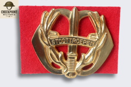 Dutch Storm Troops Regiment Prince Bernhard