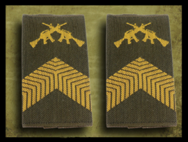 Dutch Army Epaulettes