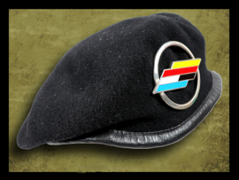 Brigade Franco-Allemande
