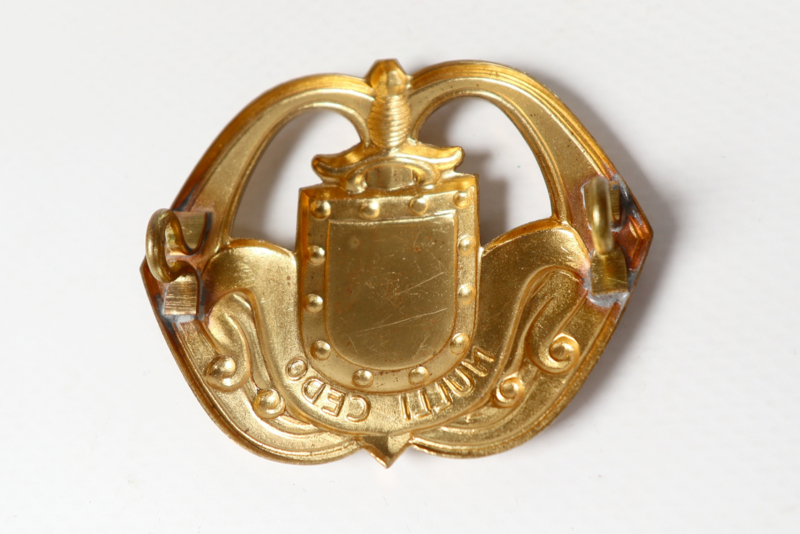 Dutch Infantry | Insignia | checkpoint-militaria