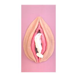 Tissue Box