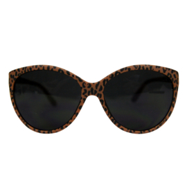 Sunnies Caramel Leopard Adult (12 pieces)