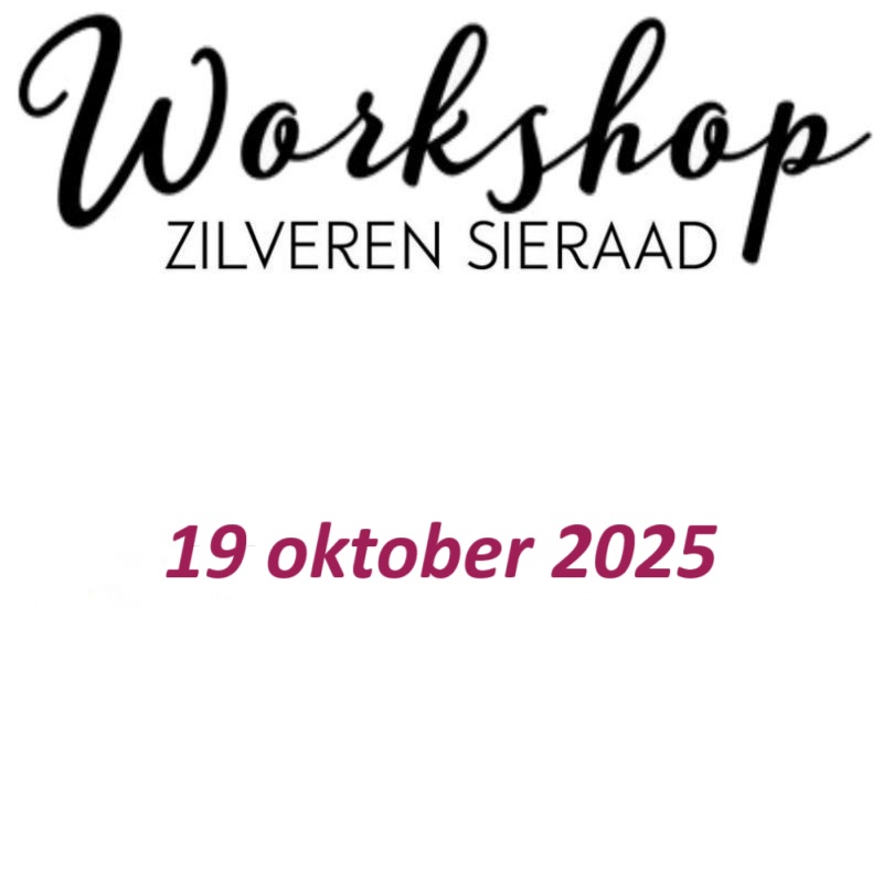 Workshop zondag 19 oktober 2025 om 13:00 uur
