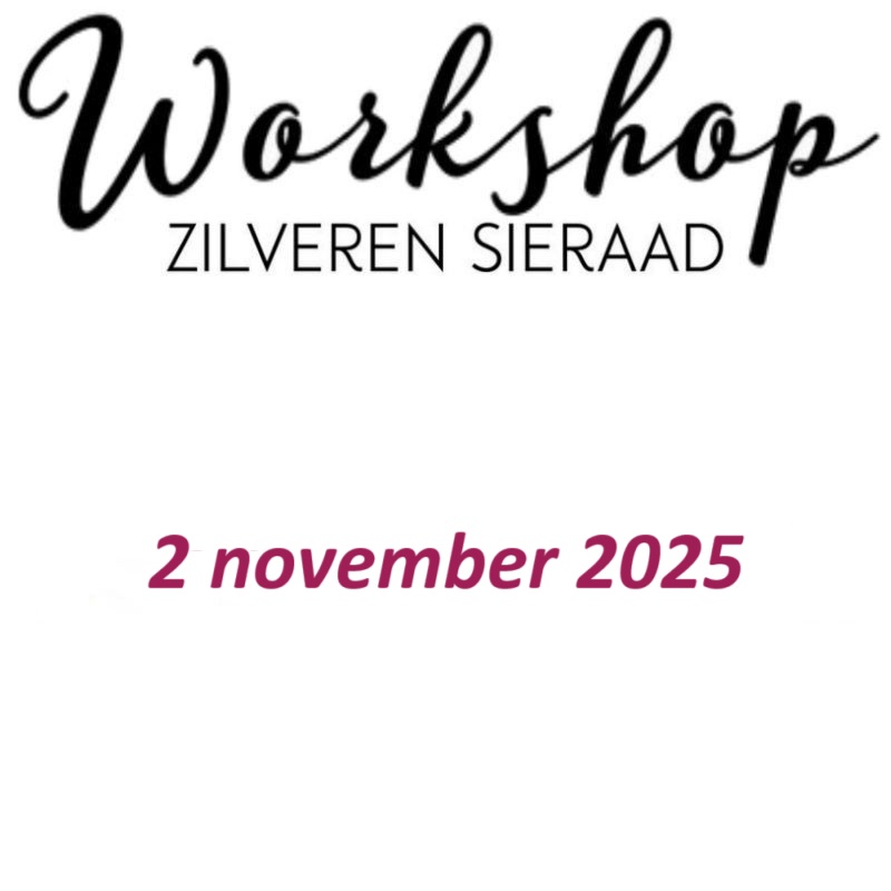 Workshop zondag 2 november 2025 om 13:00 uur