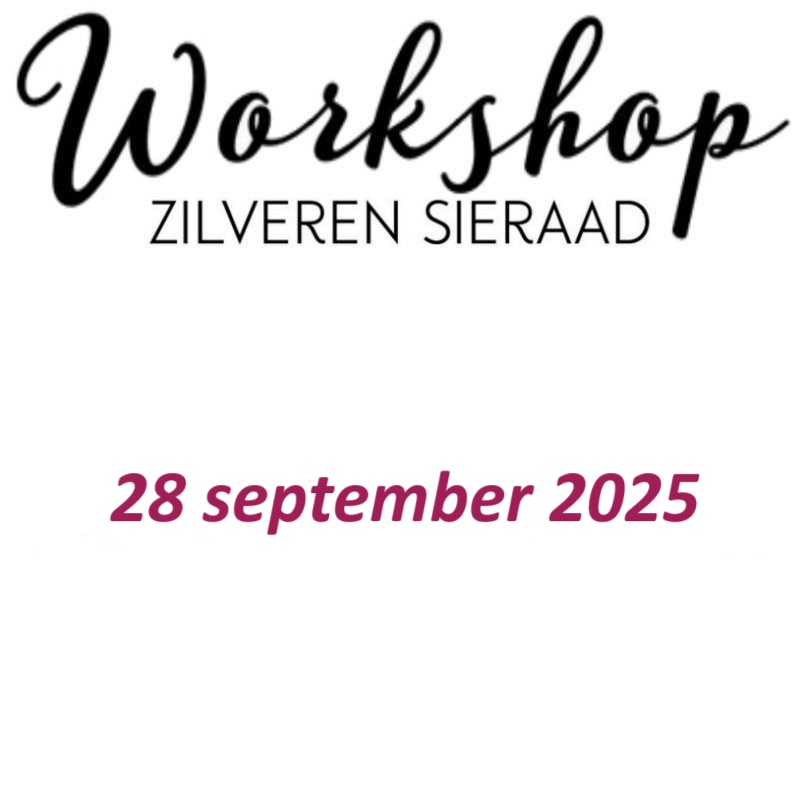 Workshop zondag 28 september 2025 om 13:00 uur